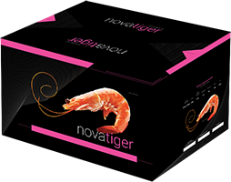 NovaTiger — BPDTO — blanszowane, z ogonem